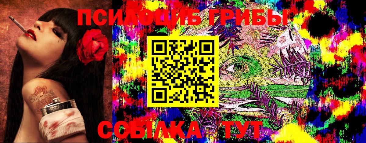 Галлюциногенные грибы Psilocybine cubensis  Вход с VPN  Топки 