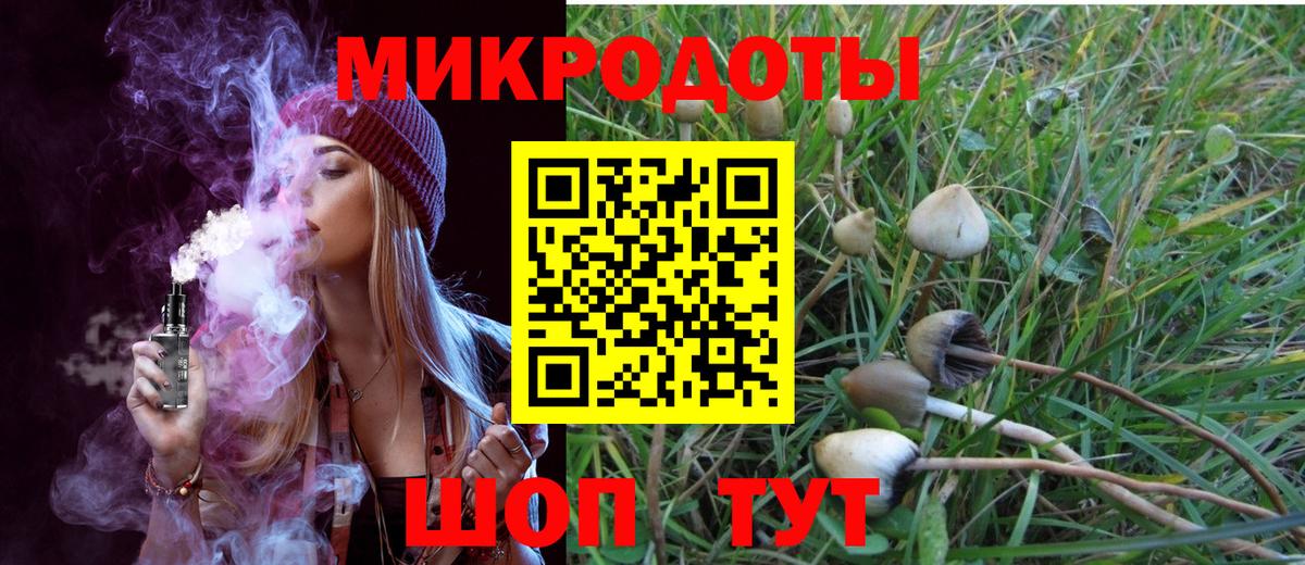 Псилоцибиновые грибы Magic Shrooms Топки